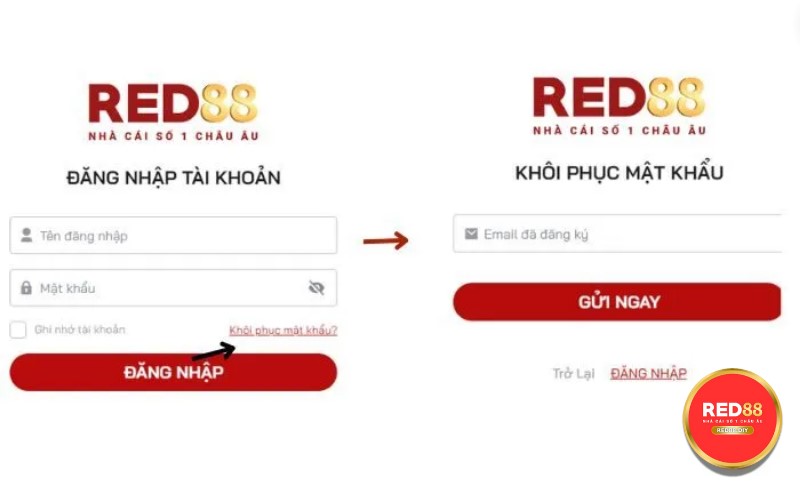 Hướng Dẫn Xử Lý Khi Không Thể Đăng Nhập Red88