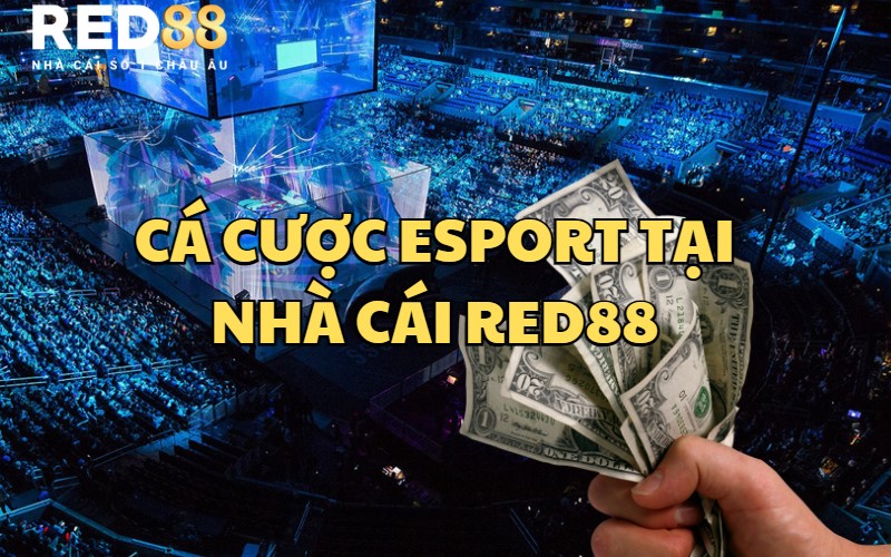 Cá cược Esport tại nhà cái RED88 cực kỳ uy tín